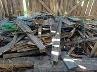 Grajewo ogłoszenia: Sprzedam deski pocięte i do pocięcia 
Transport we własnym... - zdjęcie